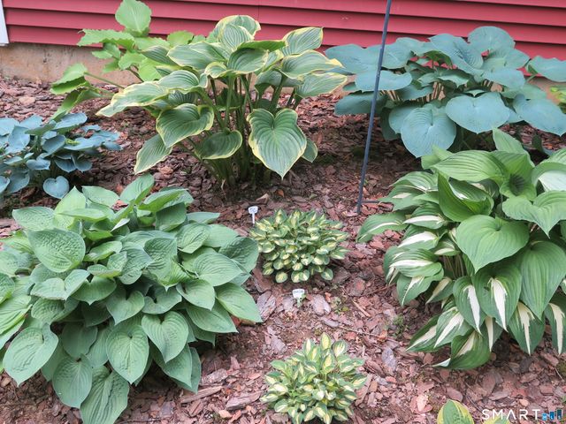 64 Summerwood Ridge, Tolland, CT 06084