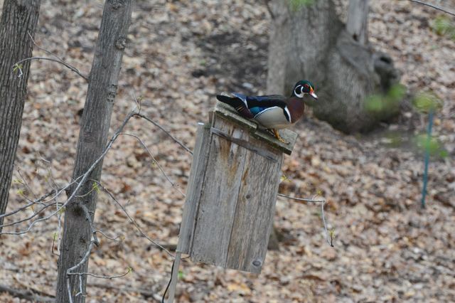 16048 Baywood Lane, Eden Prairie, MN 55346