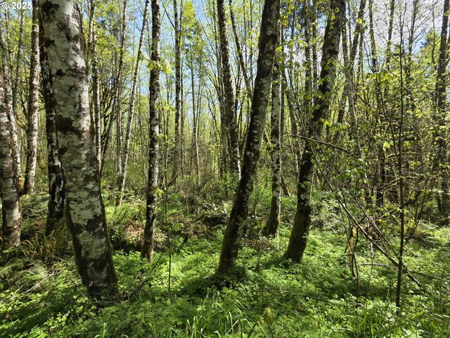 Mill Falls Ln, Longview, WA 98632