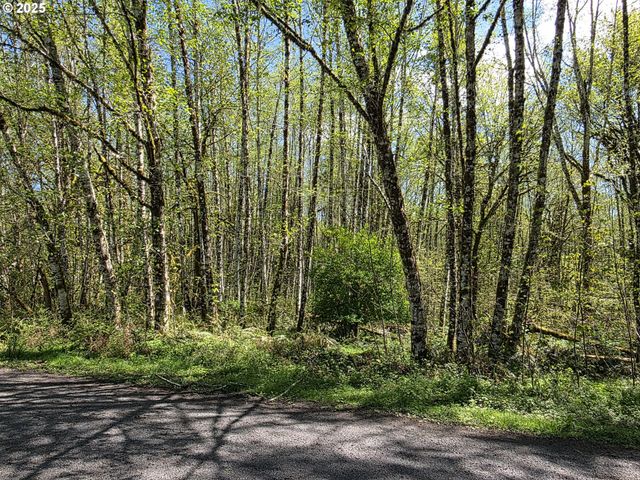 Mill Falls Ln, Longview, WA 98632