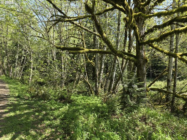 Mill Falls Ln, Longview, WA 98632