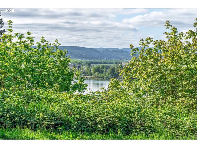 Mill Falls Ln, Longview, WA 98632