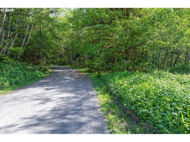 Mill Falls Ln, Longview, WA 98632