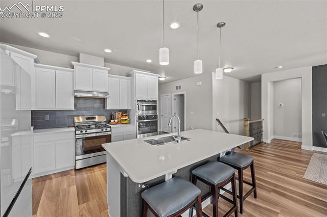 9933 Meridian Hills Trail, Peyton, CO 80831