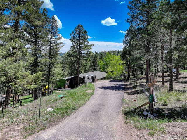 539 S Random Road, Bailey, CO 80421