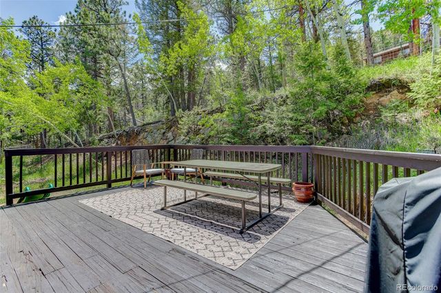 539 S Random Road, Bailey, CO 80421