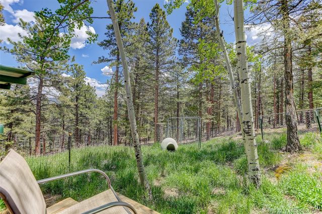 539 S Random Road, Bailey, CO 80421