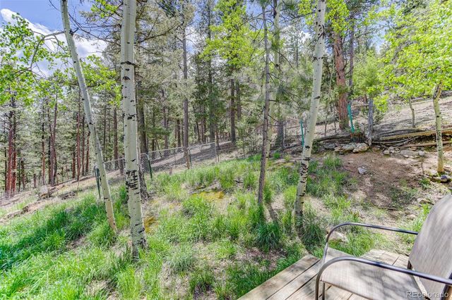 539 S Random Road, Bailey, CO 80421