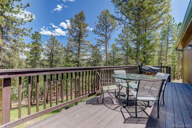 539 S Random Road, Bailey, CO 80421
