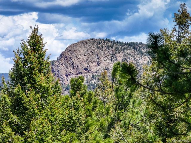 539 S Random Road, Bailey, CO 80421