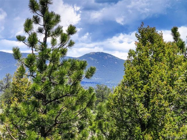 539 S Random Road, Bailey, CO 80421