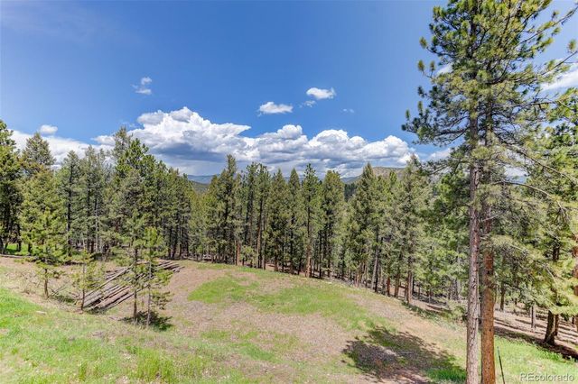 539 S Random Road, Bailey, CO 80421