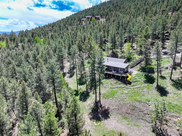 539 S Random Road, Bailey, CO 80421