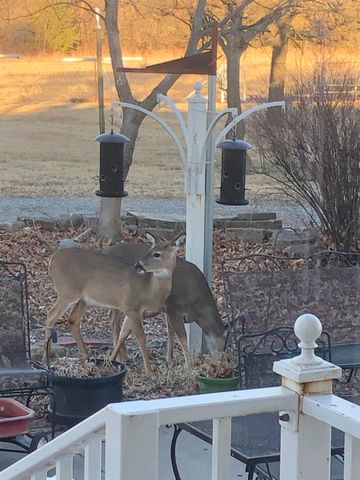 4622 E 9th Ave, Winfield, KS 67156