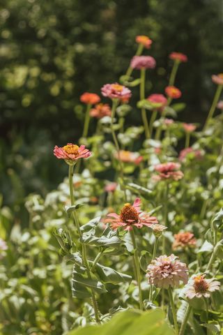 4622 E 9th Ave, Winfield, KS 67156