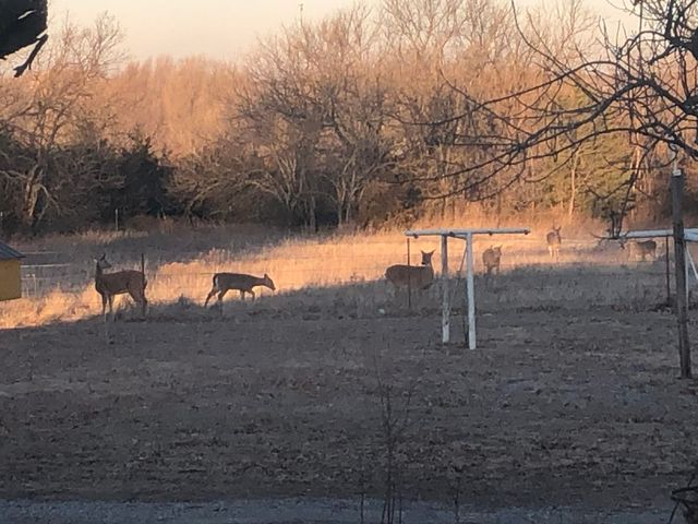 4622 E 9th Ave, Winfield, KS 67156