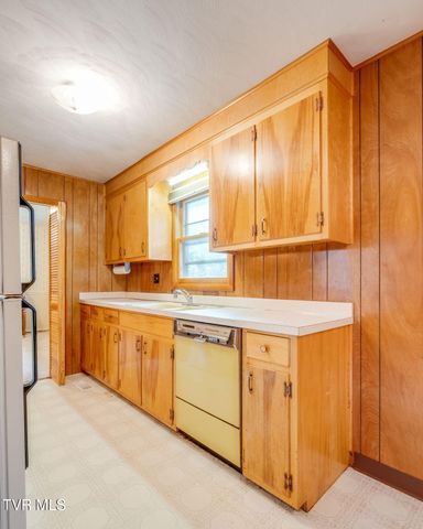 230 Russell Road, Blountville, TN 37617