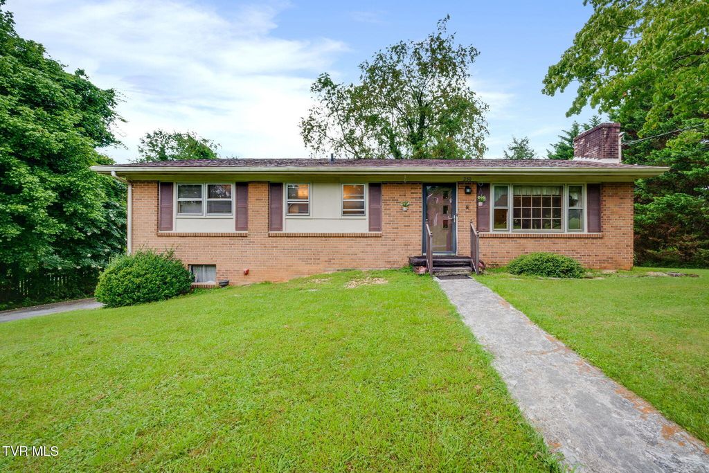 230 Russell Road, Blountville, TN 37617