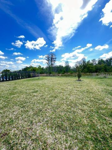 17547 SAW PALMETTO AVENUE, Clermont, FL 34714