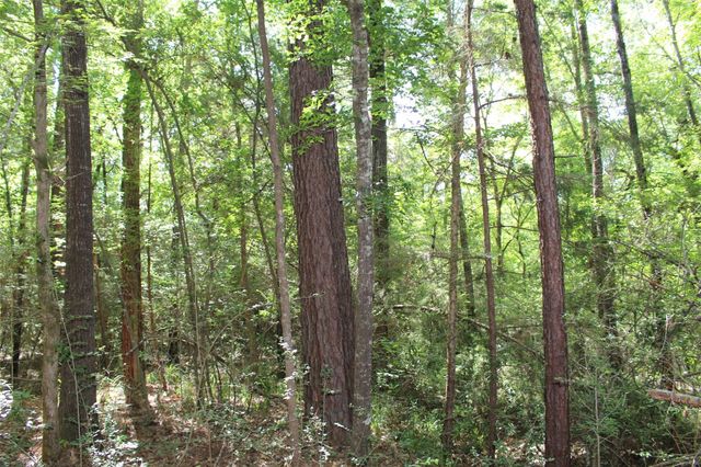 000 County Road 2240, Grapeland, TX 75844