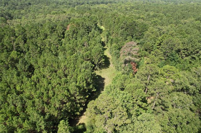 000 County Road 2240, Grapeland, TX 75844