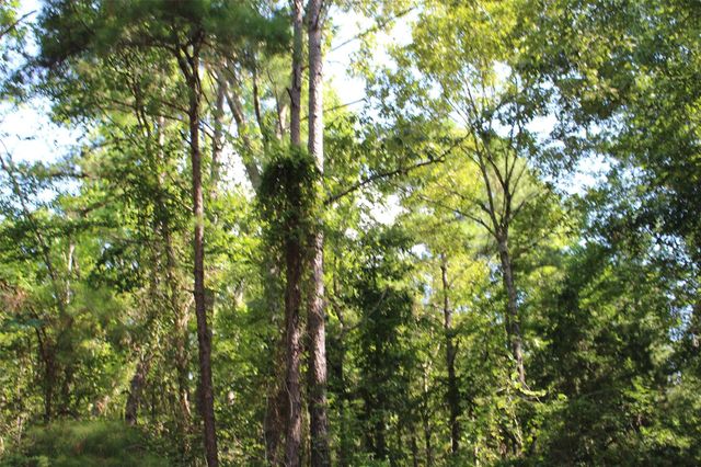 000 County Road 2240, Grapeland, TX 75844