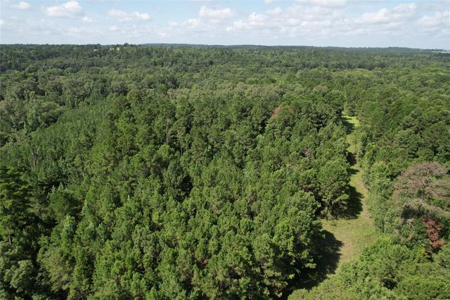 000 County Road 2240, Grapeland, TX 75844