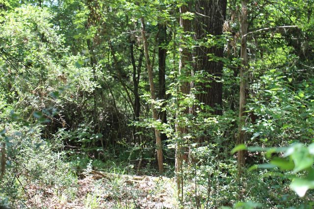000 County Road 2240, Grapeland, TX 75844