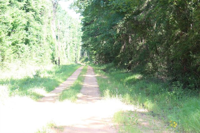 000 County Road 2240, Grapeland, TX 75844