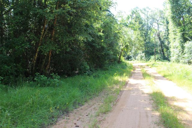 000 County Road 2240, Grapeland, TX 75844
