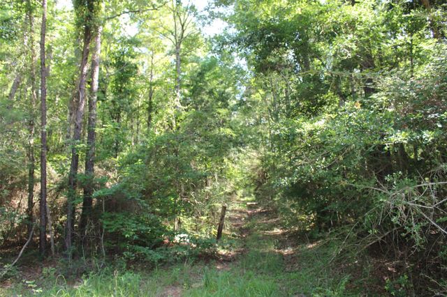 000 County Road 2240, Grapeland, TX 75844