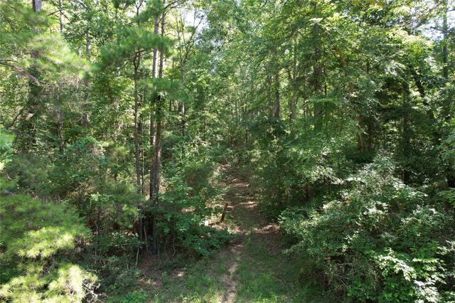 000 County Road 2240, Grapeland, TX 75844