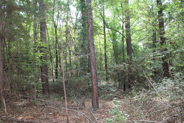 000 County Road 2240, Grapeland, TX 75844