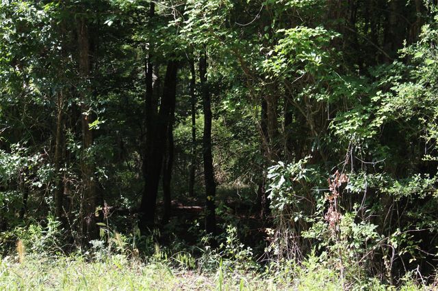 000 County Road 2240, Grapeland, TX 75844