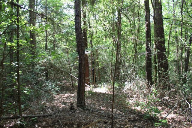 000 County Road 2240, Grapeland, TX 75844