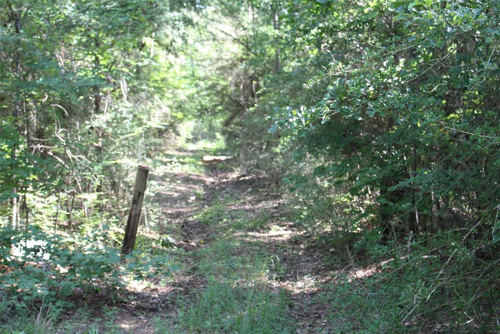 000 County Road 2240, Grapeland, TX 75844