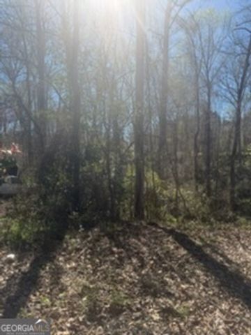 10996 Shannon Circle, Hampton, GA 30228