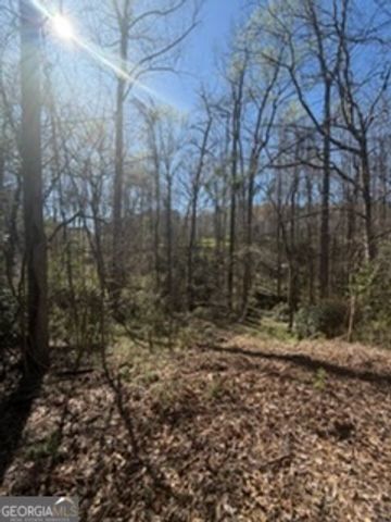 10996 Shannon Circle, Hampton, GA 30228