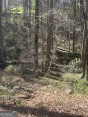 10996 Shannon Circle, Hampton, GA 30228