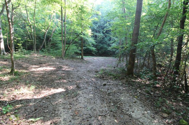 1 Bandy Rd, Ashland City, TN 37015