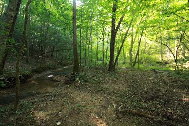 1 Bandy Rd, Ashland City, TN 37015