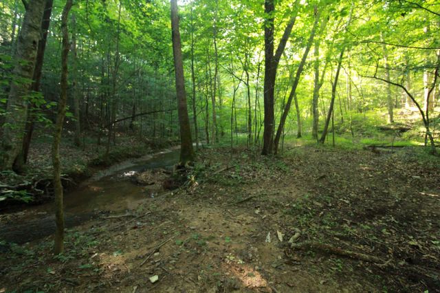 1 Bandy Rd, Ashland City, TN 37015