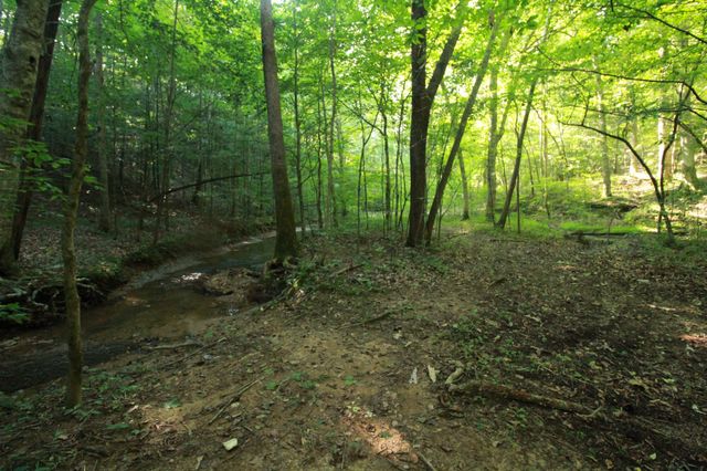 1 Bandy Rd, Ashland City, TN 37015
