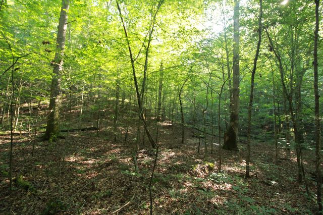 1 Bandy Rd, Ashland City, TN 37015