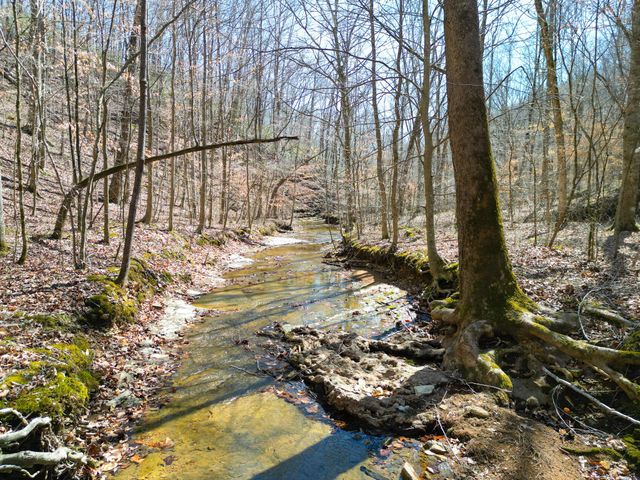 1 Bandy Rd, Ashland City, TN 37015