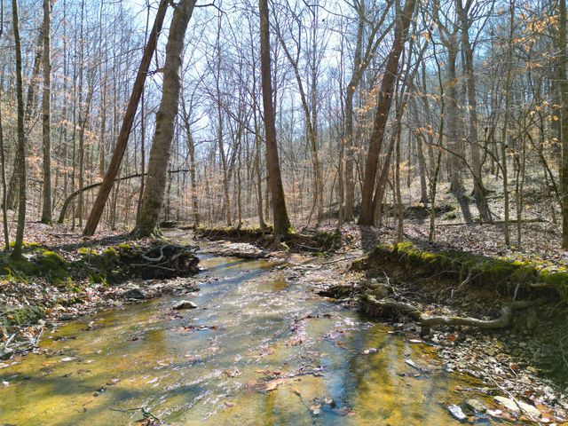 1 Bandy Rd, Ashland City, TN 37015