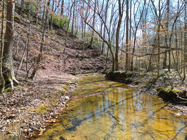 1 Bandy Rd, Ashland City, TN 37015