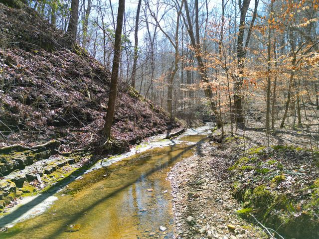 1 Bandy Rd, Ashland City, TN 37015