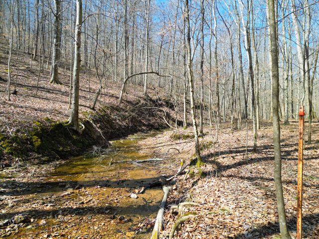 1 Bandy Rd, Ashland City, TN 37015