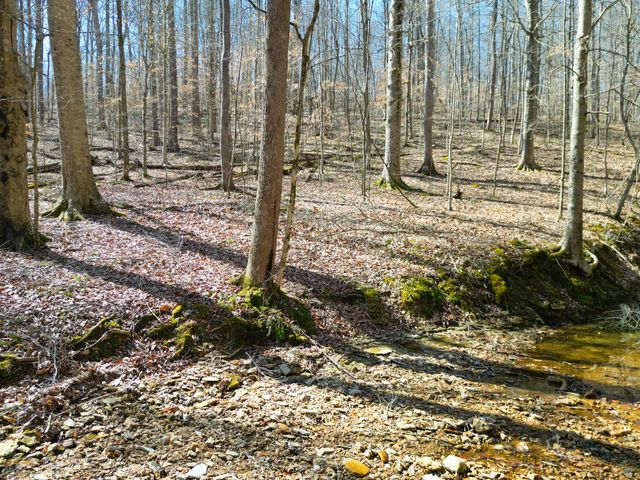 1 Bandy Rd, Ashland City, TN 37015